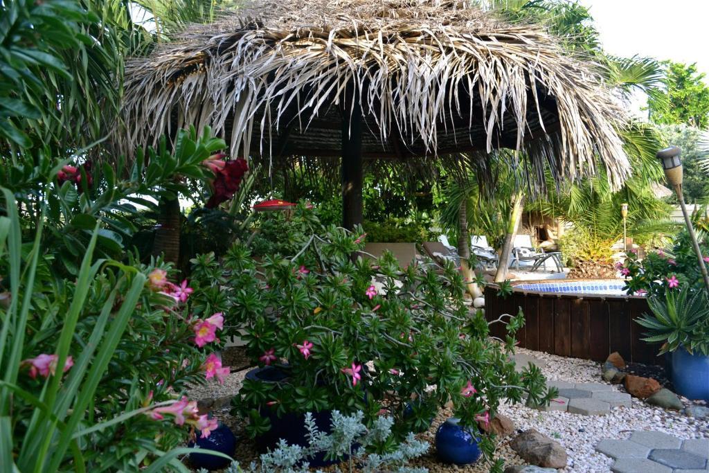 Bananas Apartments Adults Only Palm Beach Luaran gambar