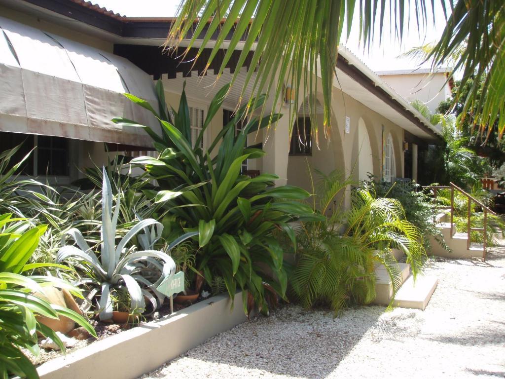 Bananas Apartments Adults Only Palm Beach Luaran gambar