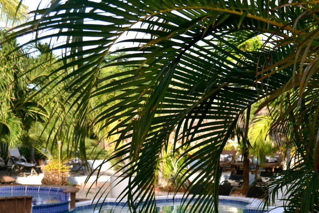 Bananas Apartments Adults Only Palm Beach Luaran gambar